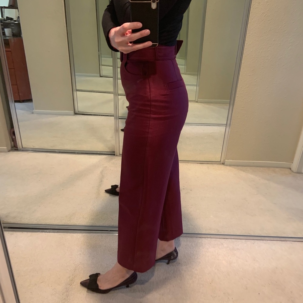 Sandro Pants - Picture 7 of 7